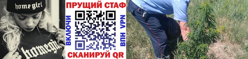 Виды наркоты Светлоград COCAIN  Alpha PVP  Экстази  МАРИХУАНА  Меф  ГАШИШ 