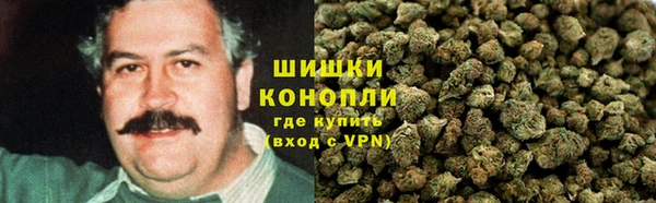 стаф Покачи