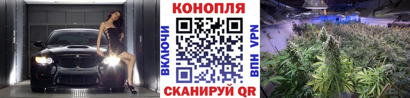 Бошки марихуана MAZAR Светлоград